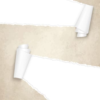 vector of ripped openold vintage paper