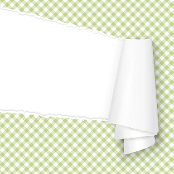 vector of ripped open paper checkered green