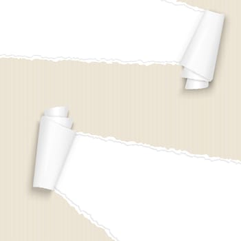 vector of ripped open paper brown cardboard
