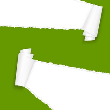 vector of ripped open paper colored green