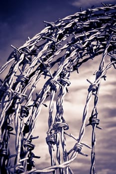 a coil of dangerous barbed wire with a blue cloudy sky background in blue tone