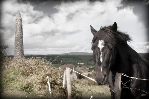 Irish horse and ancient round tower in the beautiful Ardmore countryside of county Waterford Ireland