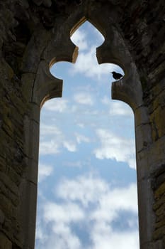 old arch window with no glass and a bird perched in an Irish historic site