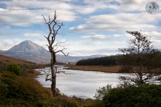 moonlit view of the Errigal mountains and countryside in county Donegal, Ireland with lone tree at foreground
