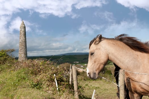 two Irish horses and ancient round tower in the beautiful Ardmore countryside of county Waterford Ireland