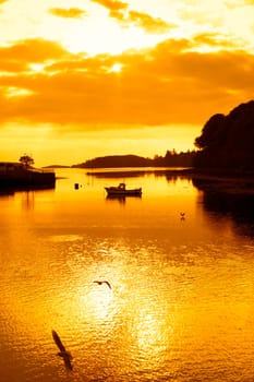 yellow silhouette of boat and birds at sunset over the river Eske in Donegal town county Donegal Ireland