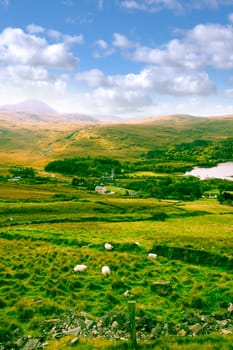 old Dunlewy church in the beautiful Donegal countryside in Ireland