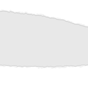 vector of ripped open paper colored white