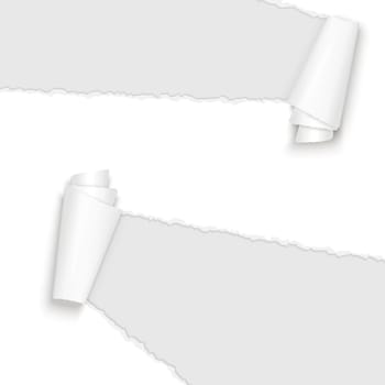 vector of ripped open paper colored white
