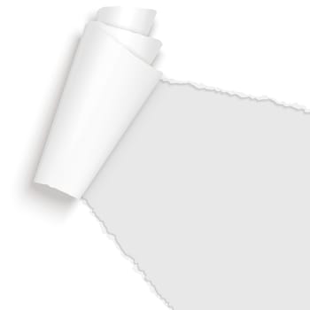 vector of ripped open paper colored white