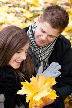 Leaf gift