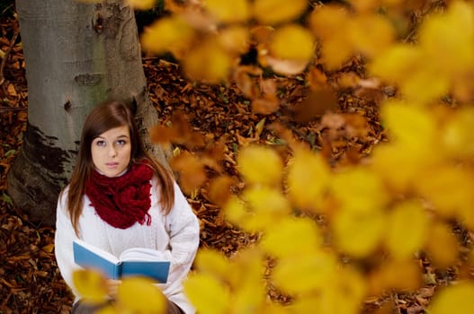 Reading book in park