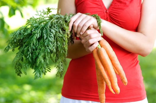 Carrots in hands