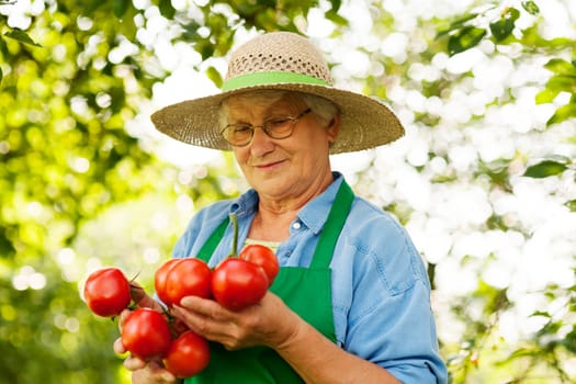 Senior woman holding tomatoes