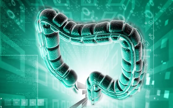 Digital illustration of large intestine in colour background