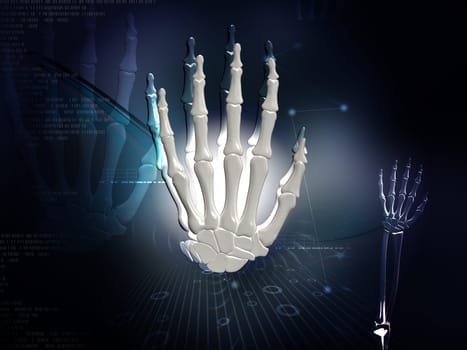 Digital illustration of hand bone in colour background
