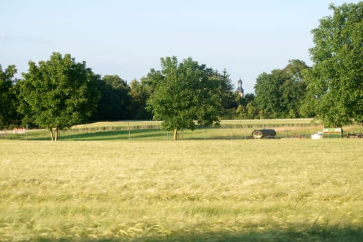 The photograph of a wheat field and a landscape with a church tower.