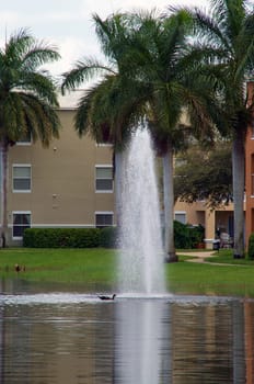View of a pond fountain at tropical luxury complex with duck.