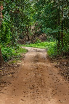 Rural road,ground way