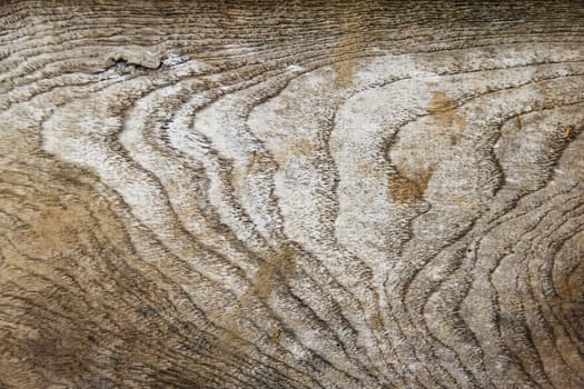 wood texture. Abstract background
