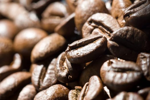 To the coffee