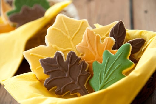 Autumn Biscuits in different Fall Colors as Closeup