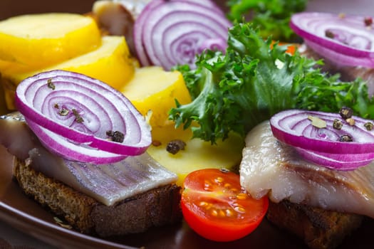 Sandwiches of rye bread with herring, red onions, herbs and potato slices