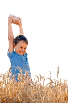 Boy with the bread over your head in the mature grain with the sun at your back for dream atmosphere