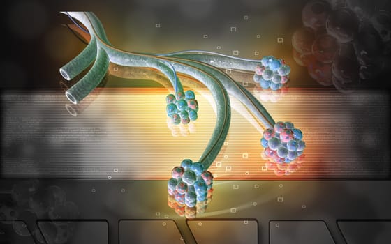Digital illustration of alveoli in colour background