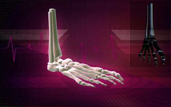 Digital illustration of Leg bone in colour background