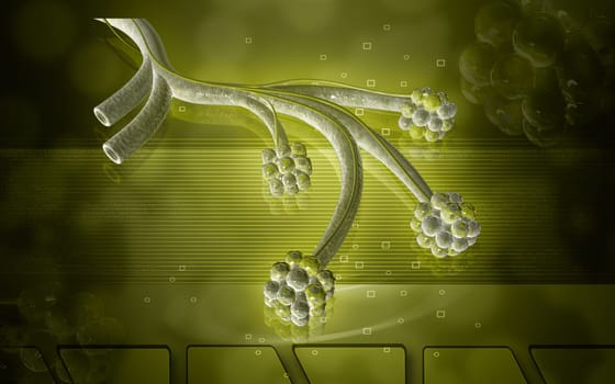 Digital illustration of alveoli in colour background