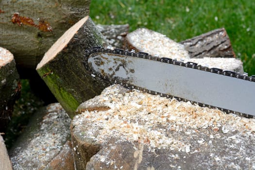 Wood sawing with chainsaw