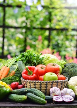 Variety of fresh organic vegetables in the garden.