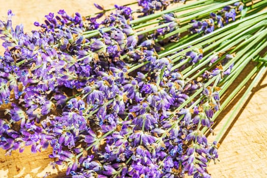 Lavender,fresh bouquet