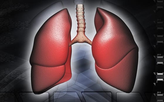 Digital illustration of human lungs in colour background