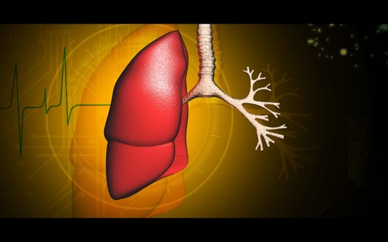 Digital illustration of human lungs in colour background