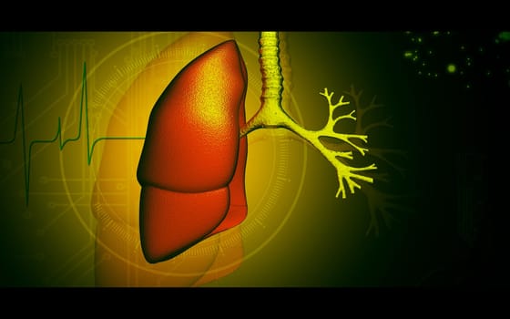 Digital illustration of human lungs in colour background
