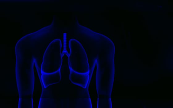 Digital illustration of Human body and lungs in colour background