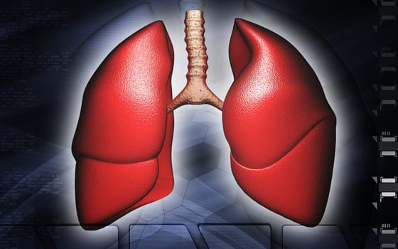 Digital illustration of human lungs in colour background
