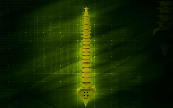Digital illustration of back bone in colour background