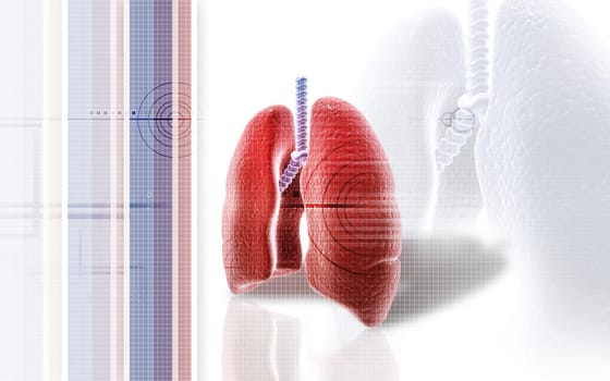 Digital illustration of human lungs in colour background