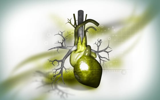Digital illustration of heart in colour background