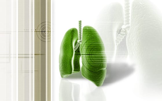 Digital illustration of human lungs in colour background