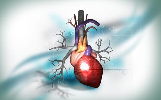 Digital illustration of heart in colour background