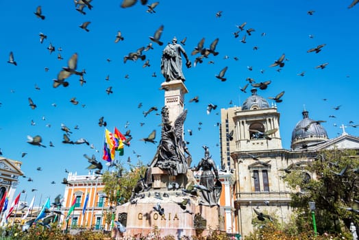 Pigeons flying around Plaza Murillo in La Paz, Bolivia
