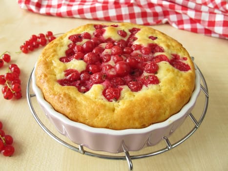 Freshly baked currant cake