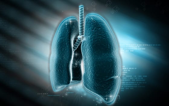 Digital illustration of human lungs in colour background
