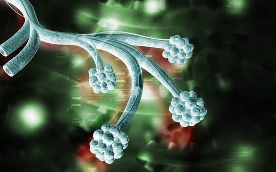 Digital illustration of alveoli in colour background