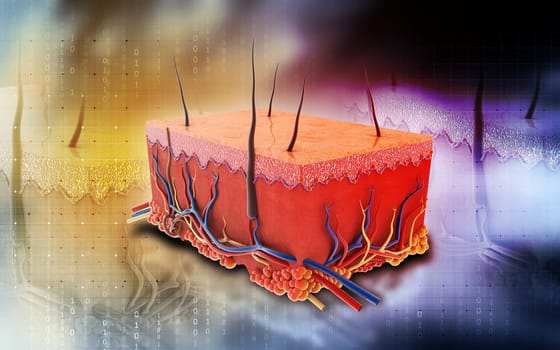 Digital illustration of Skin in colour background