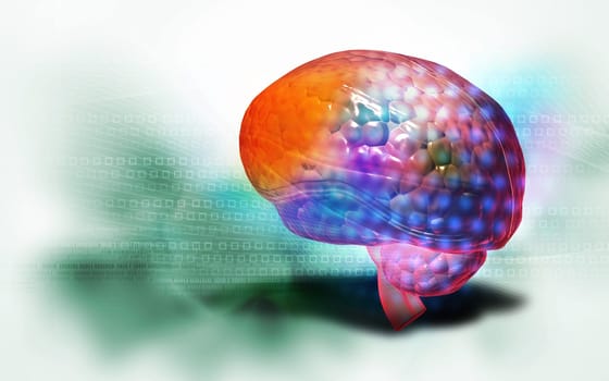 Digital illustration of brain in colour background